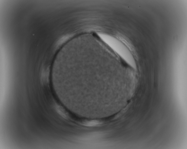 X0000084050058200703092101