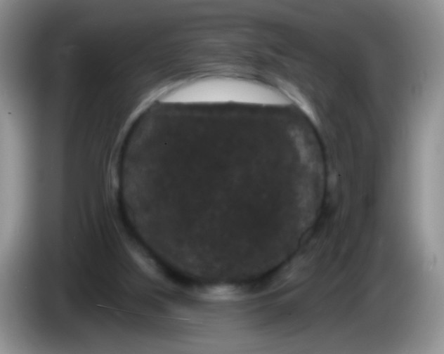 X0000084050059200703092101