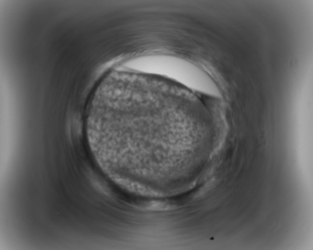 X0000084050060200703092101