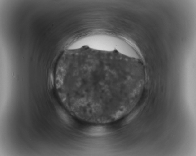 X0000084050061200703092101