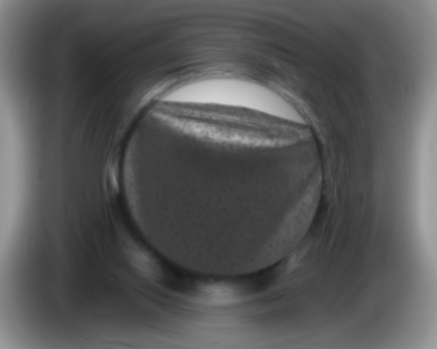 X0000084050062200703092101