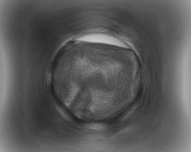 X0000084050063200703092101