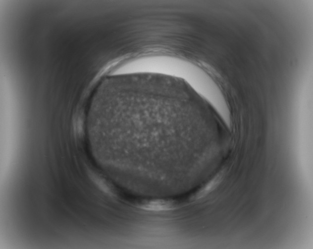 X0000084050064200703092101