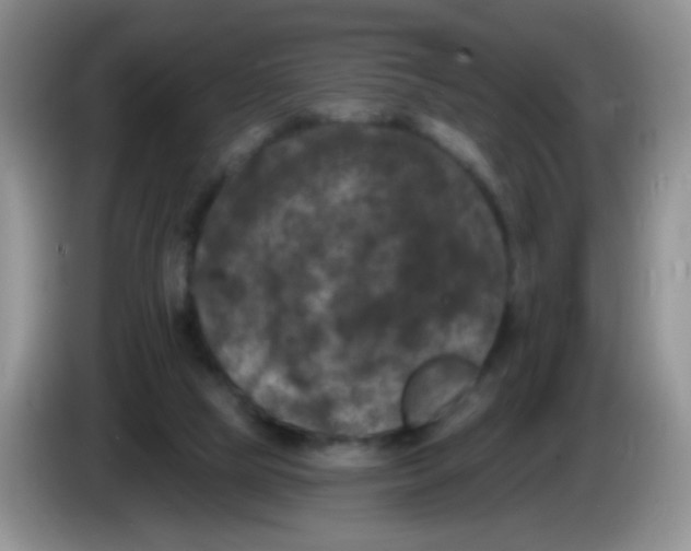 X0000084050065200703092101