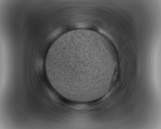 X0000084050066200703092101