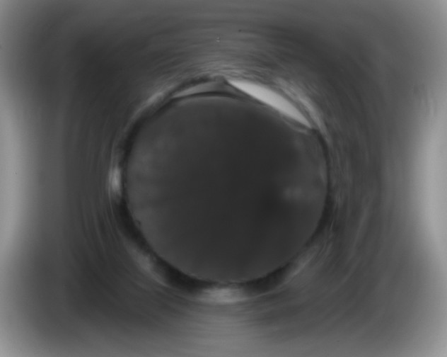 X0000084050067200703092101