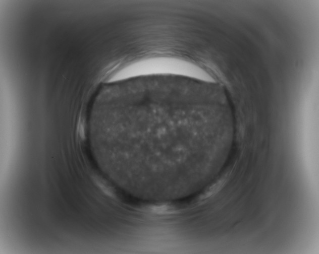 X0000084050068200703092101