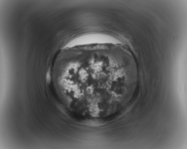 X0000084050069200703092101