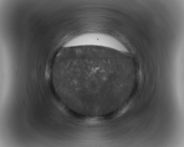 X0000084050072200703092101