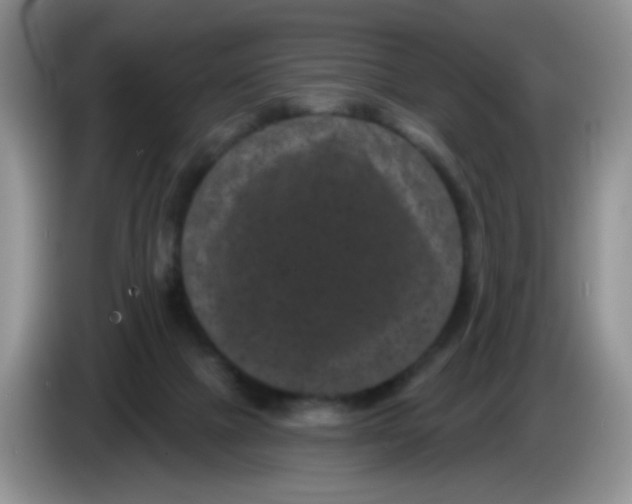 X0000084050073200703092101