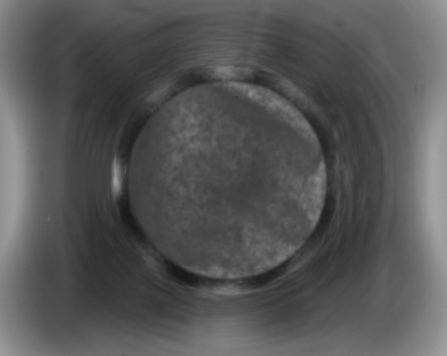 X0000084050075200703092101