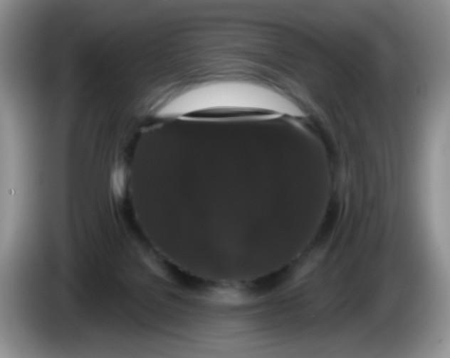 X0000084050076200703092101