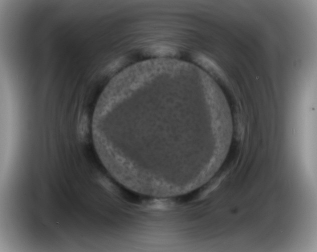 X0000084050077200703092101