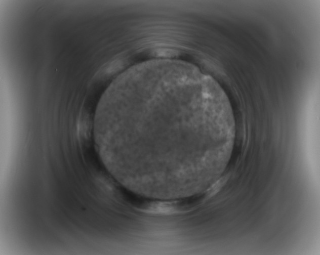 X0000084050078200703092101