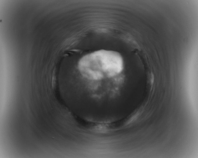 X0000084050080200703092101