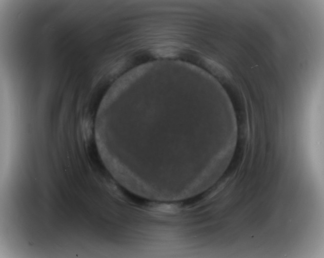 X0000084050081200703092101