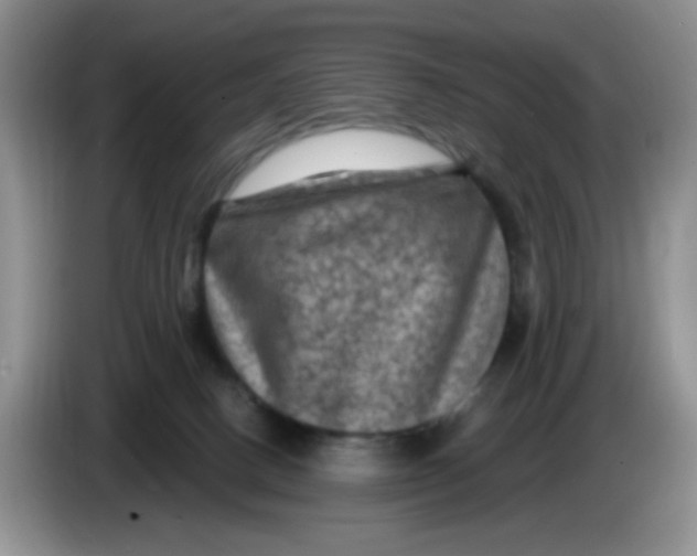 X0000084050082200703092101