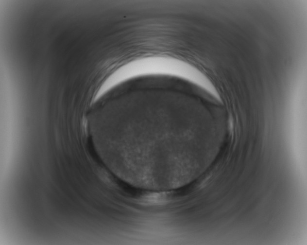 X0000084050084200703092101