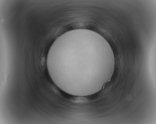 X0000084050087200703092101