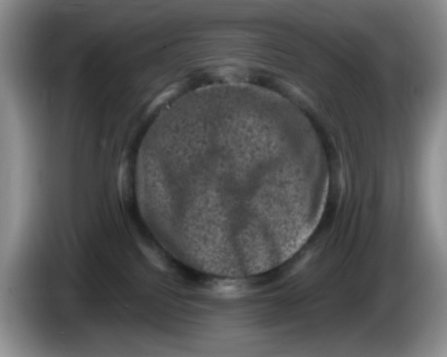 X0000084050088200703092101