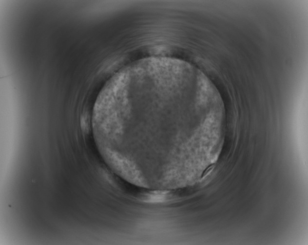 X0000084050090200703092101