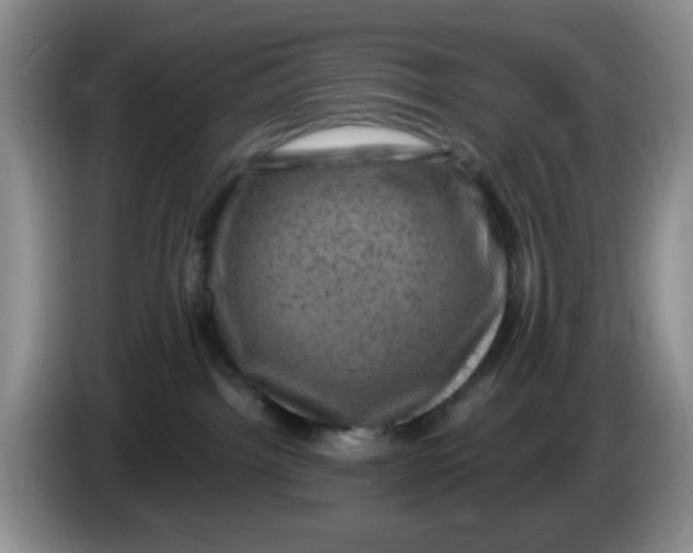 X0000084050092200703092101