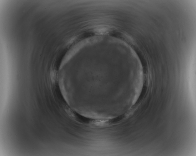 X0000084050093200703092101