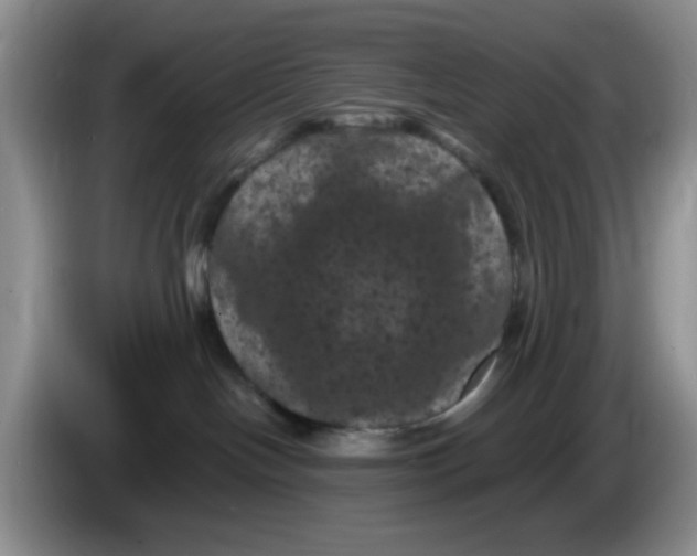 X0000084050094200703092101