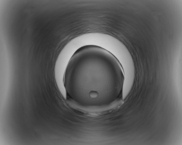 X0000084050095200703092101