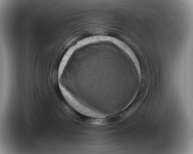 X0000084050096200703092101