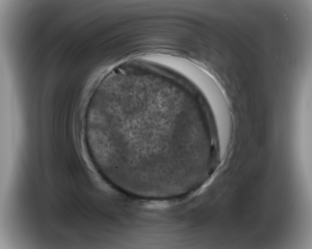 X0000084050097200703092101