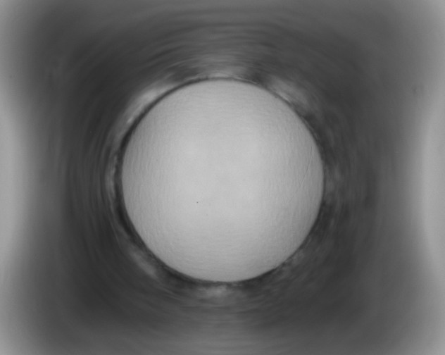 X0000084050098200703092101