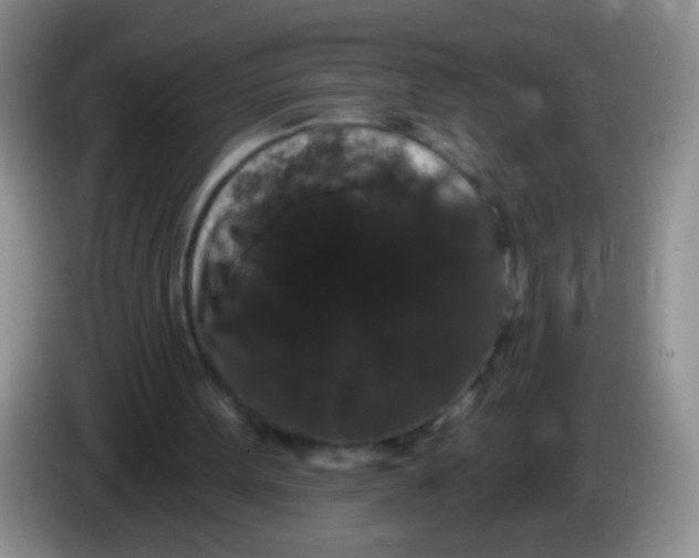 X0000084050099200703092101