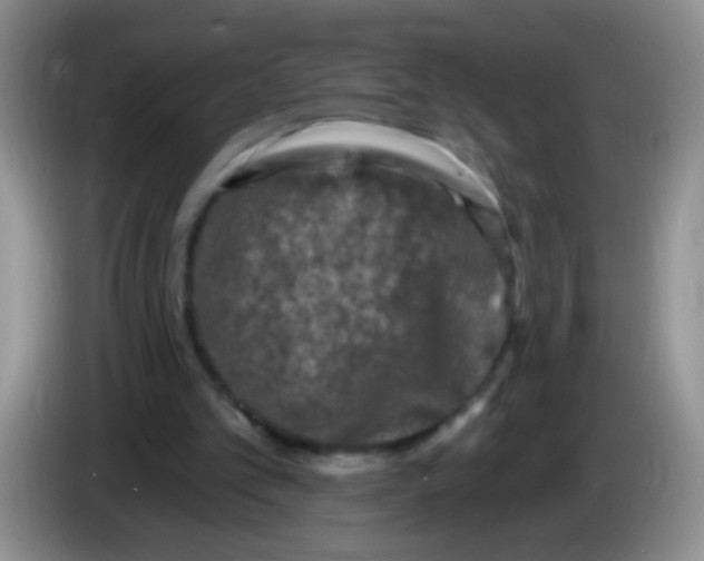 X0000084050101200703092100