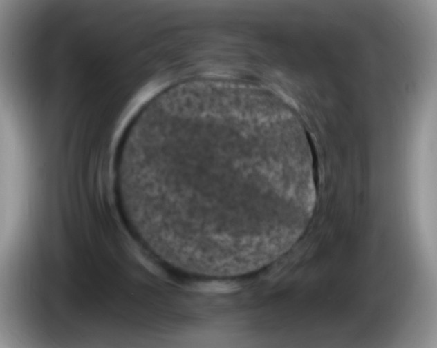 X0000084050102200703092100