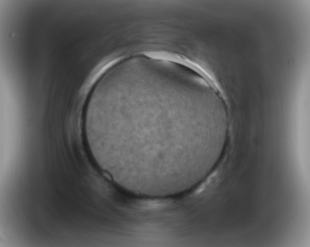 X0000084050103200703092100