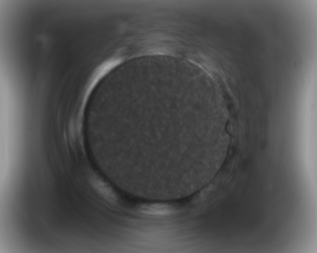 X0000084050104200703092100