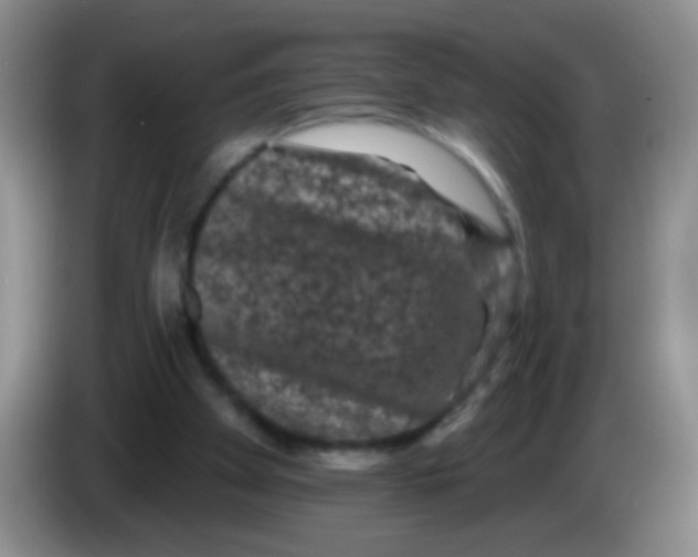 X0000084050105200703092100