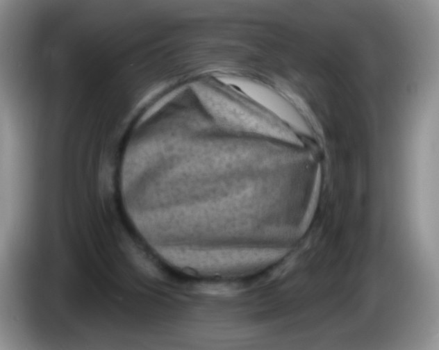 X0000084050106200703092100