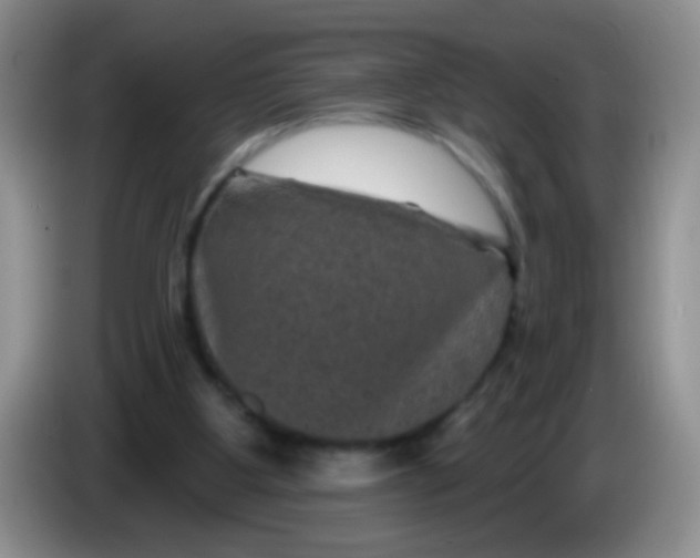 X0000084050107200703092100