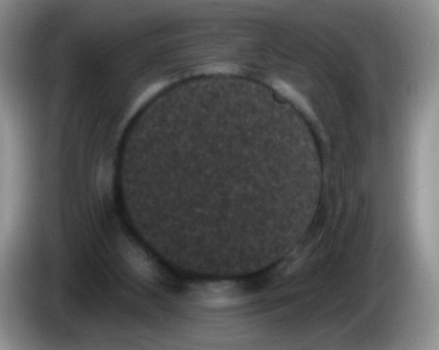 X0000084050108200703092100