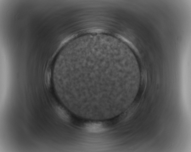 X0000084050110200703092100