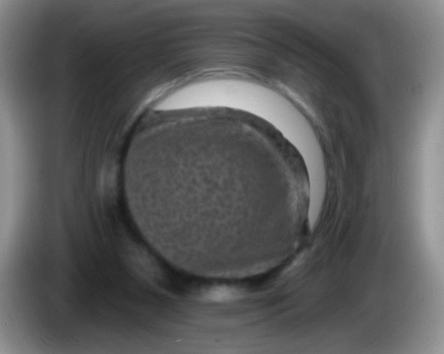 X0000084050111200703092100