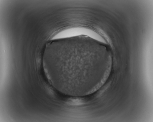 X0000084050113200703092100