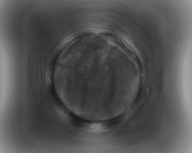 X0000084050114200703092100