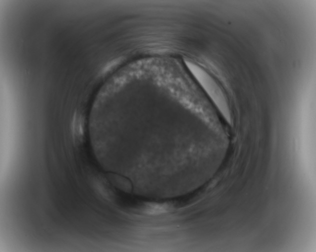 X0000084050115200703092100