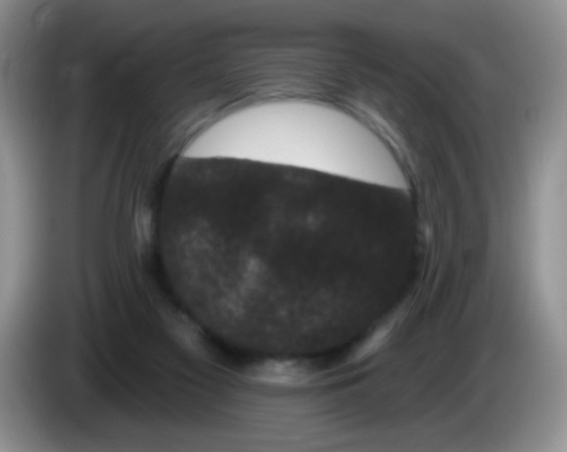 X0000084050117200703092100