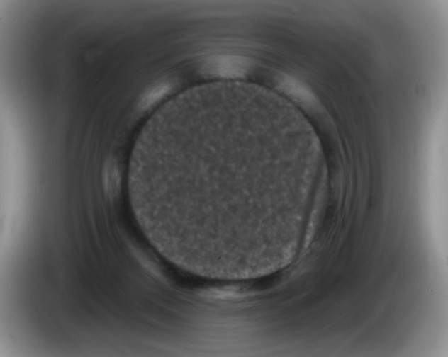 X0000084050120200703092100