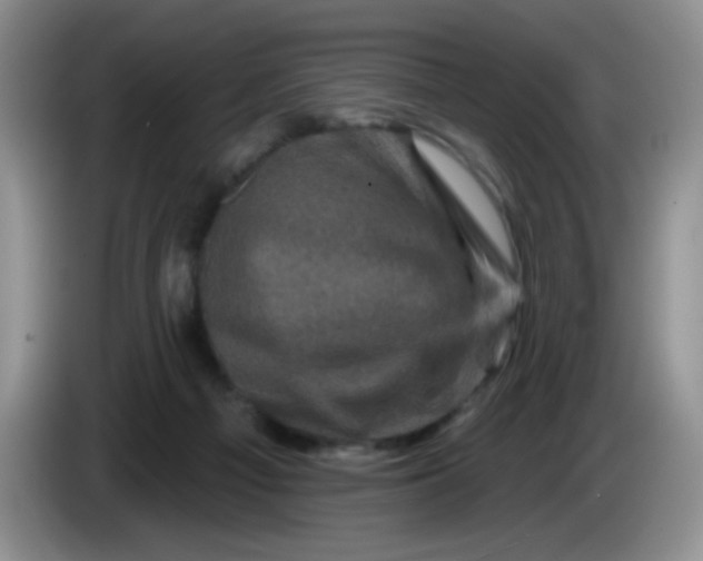 X0000084050121200703092100