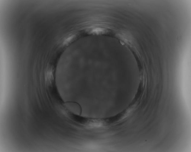 X0000084050127200703092100